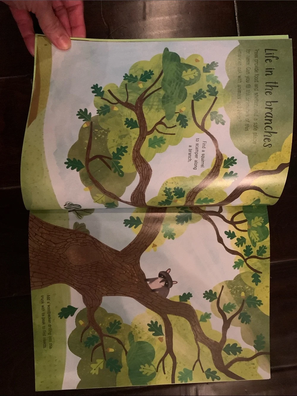 Children’s Natural World Book Set